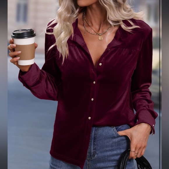 Luxe Velvet Button Down Shirt Top Blouse Rust - Picture 7 of 17
